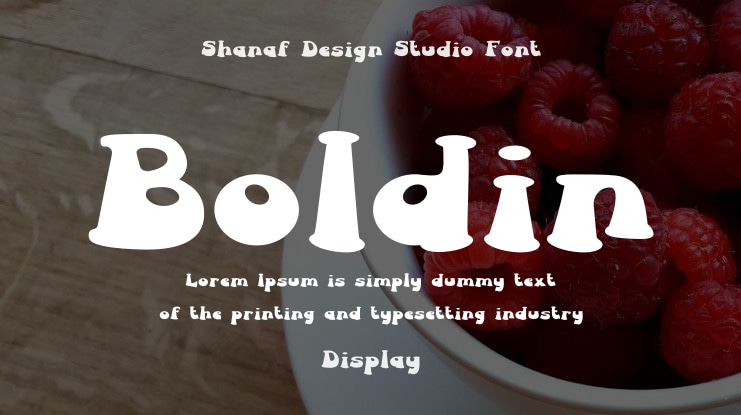 Boldin Font Family