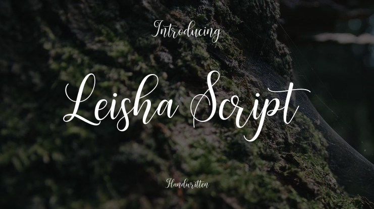 Leisha Script Font