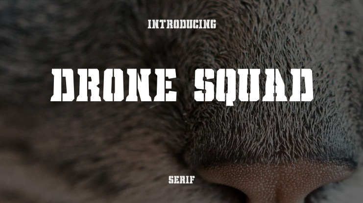 Drone Squad Font Family