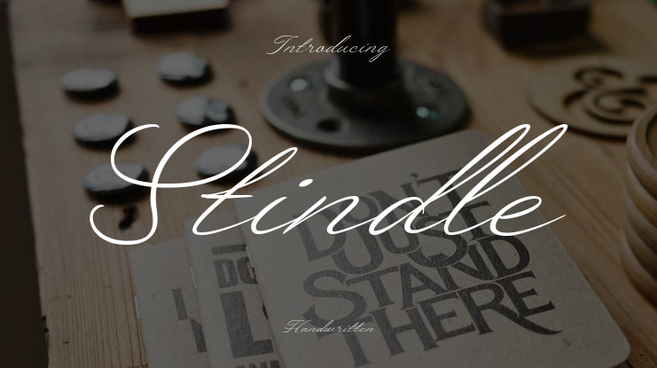 Stindle Font Family