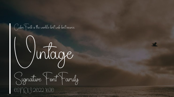 Vintage Signature Font