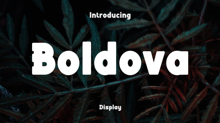 Boldova Font