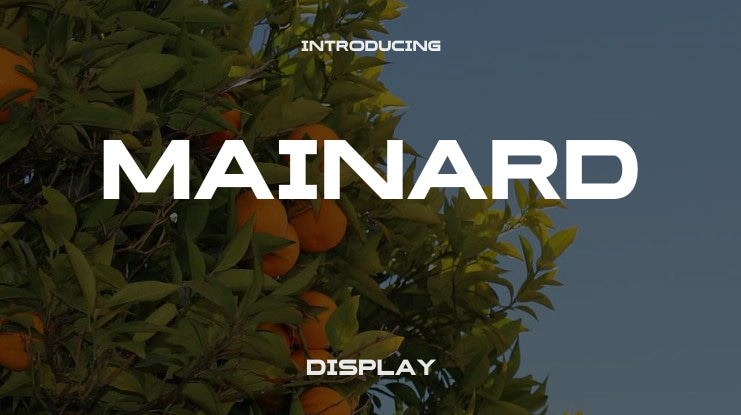 Mainard Font