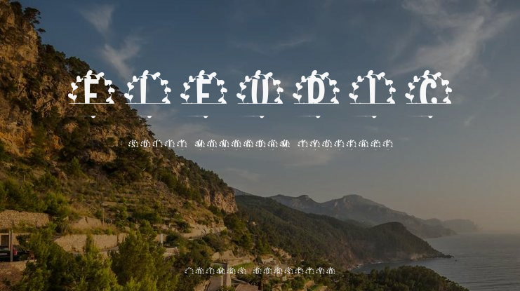 Fleuric Split Monogram Font