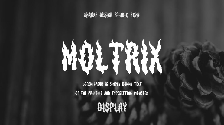 Moltrix Font