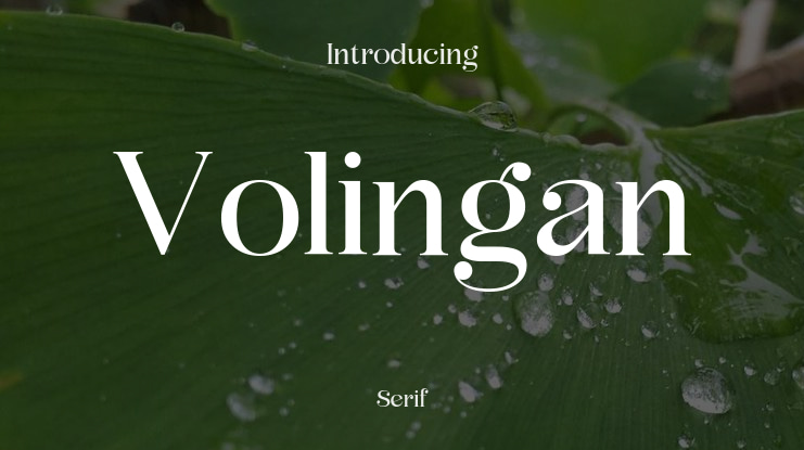 Volingan Font