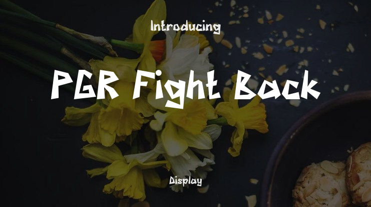 PGR Fight Back Font