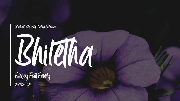 Bhiletha Fileboy Font