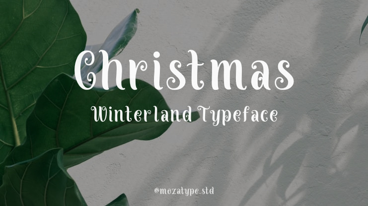 Christmas Winterland Font
