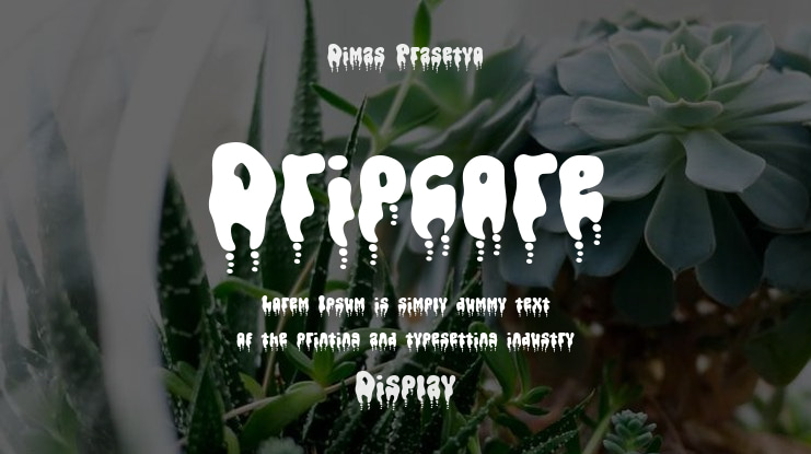 Dripcore Font