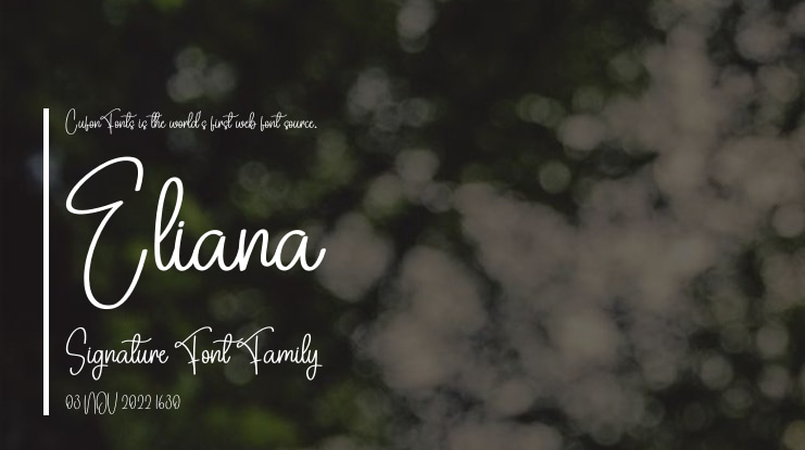 Eliana Signature Font