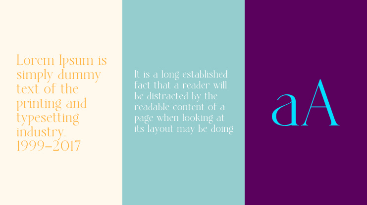 The SARGENT Serif Font Family