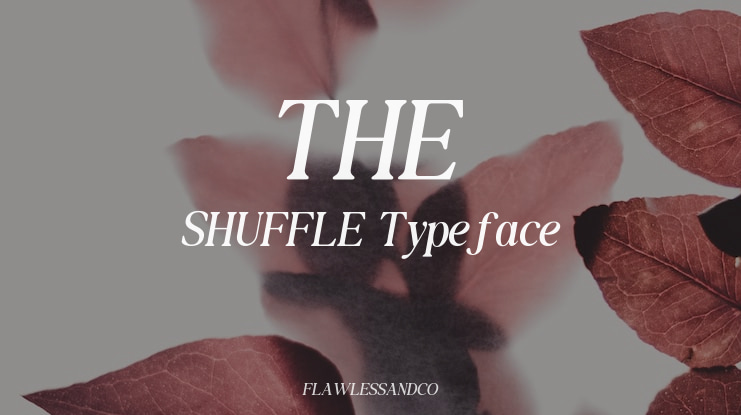 THE SHUFFLE Font