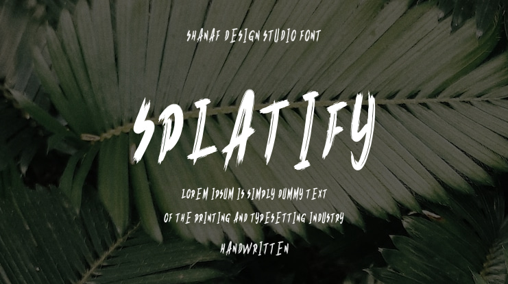 Splatify Font Family
