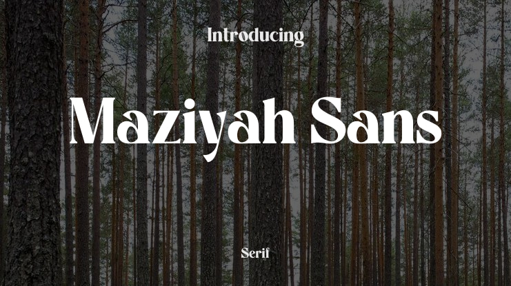 Maziyah Sans Font Family