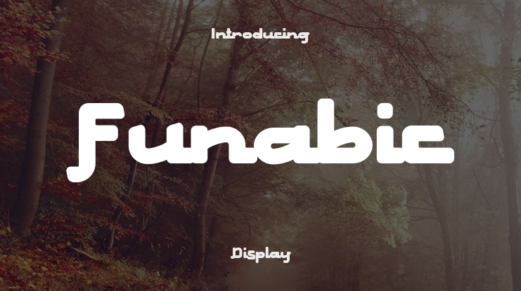 Funabic Font