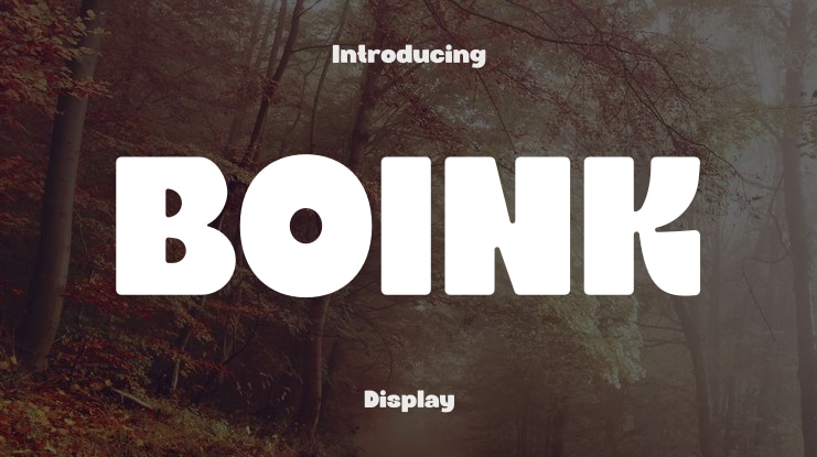 BOINK Font