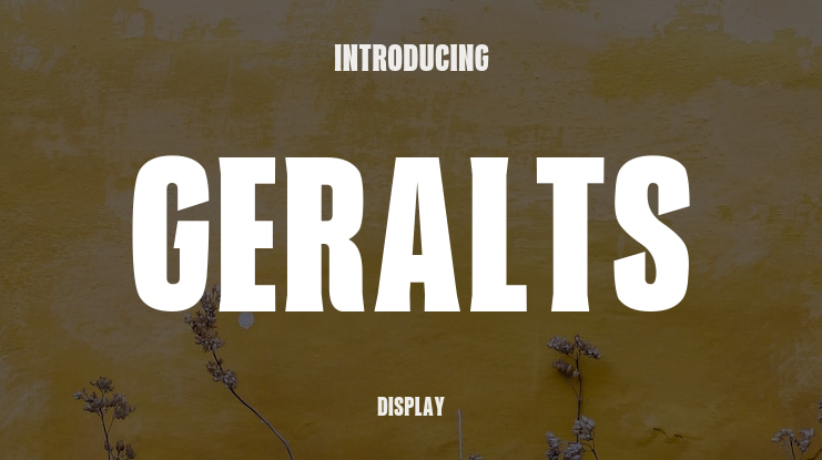 Geralts Font Family