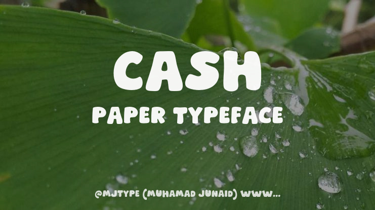 Cash Paper Font