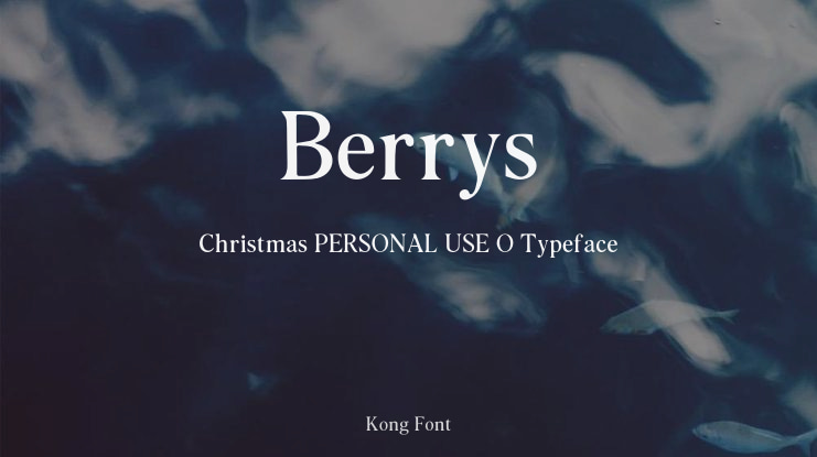 Berrys Christmas PERSONAL USE O Font