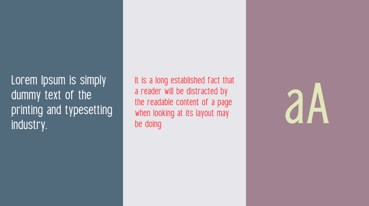 TT Bird Of  Feather Mini Edtn Font Family