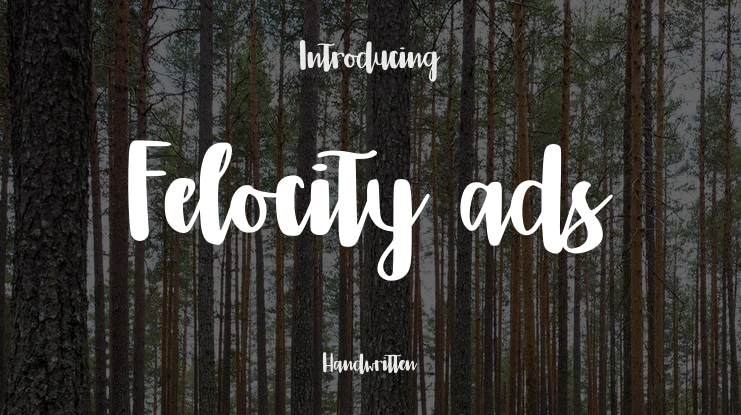 Felocity ads Font
