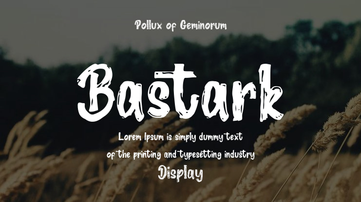 Bastark Font