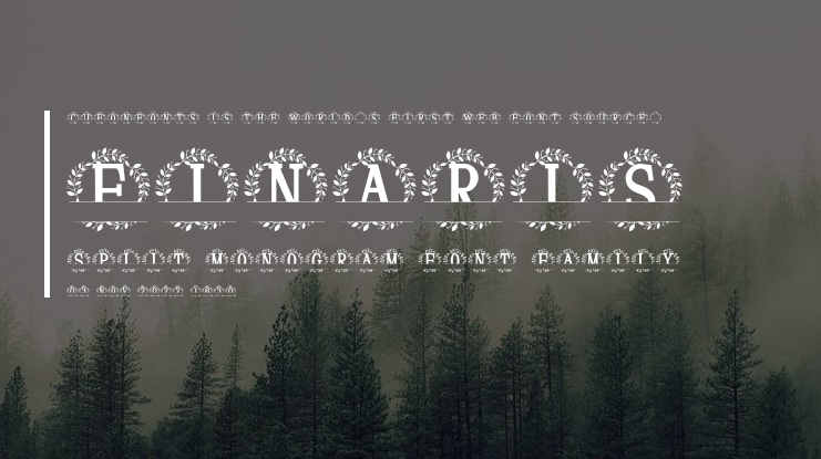 Finaris Split Monogram Font