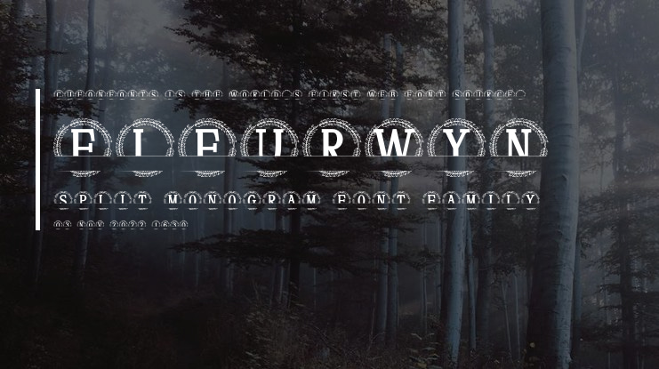 Fleurwyn Split Monogram Font