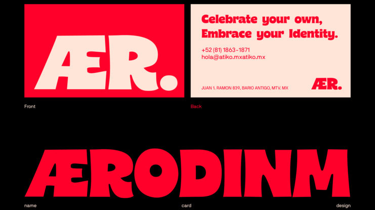 CarityDemo Font