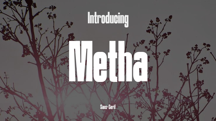 Metha Font Family