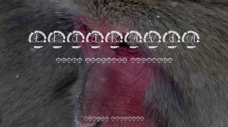 Lettravia Split Monogram Font