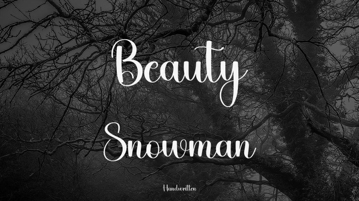 Beauty Snowman Font
