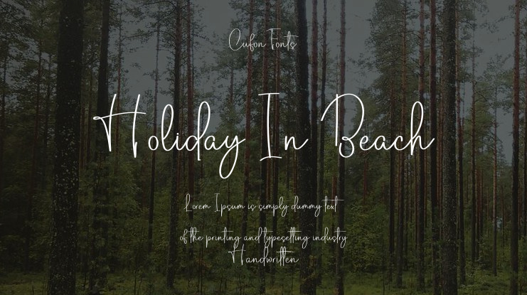 Holiday In Beach Font