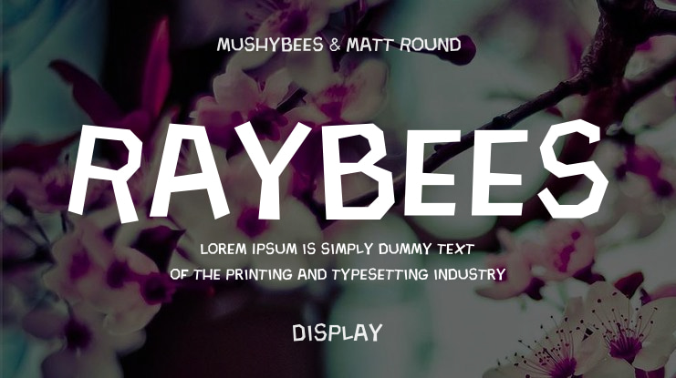 Raybees Font