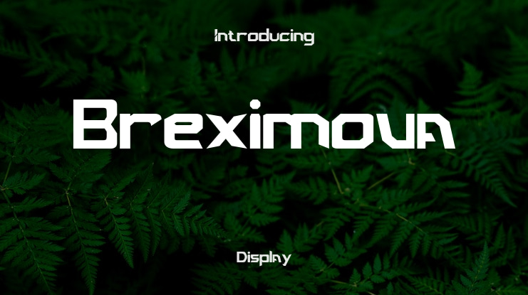 Breximova Font