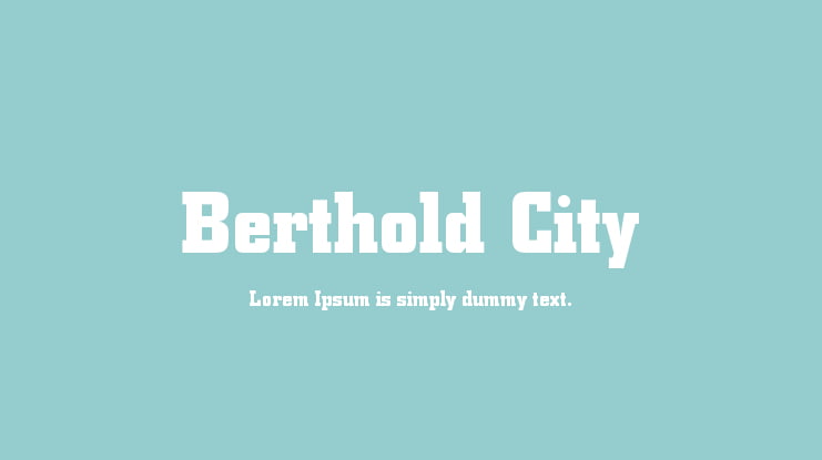 Berthold City Font Family