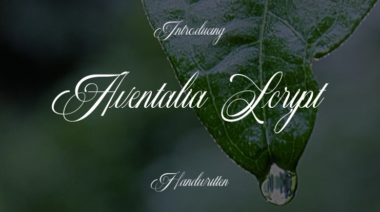 Aventalia Script Font