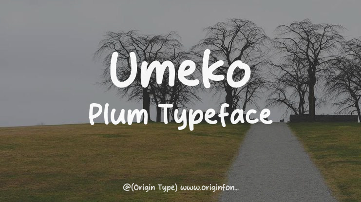 Umeko Plum Font