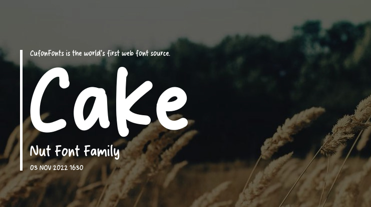 Cake Nut Font