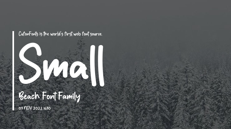 Small Beach Font