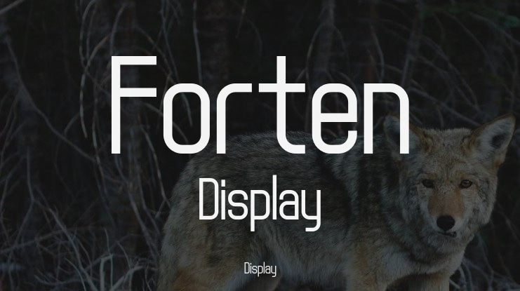 Forten Display Font Family