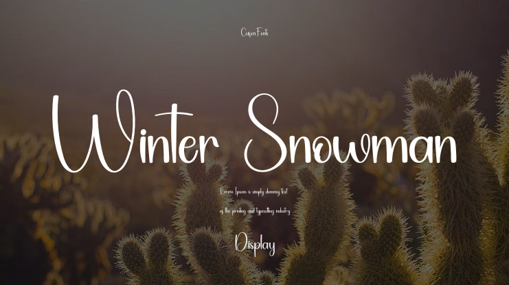 Winter Snowman Font