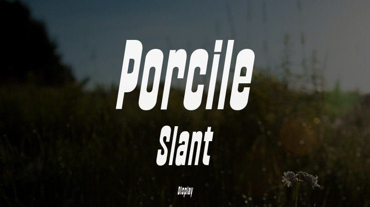 Porcile Slant Font Family