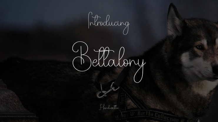 Bettalony Font