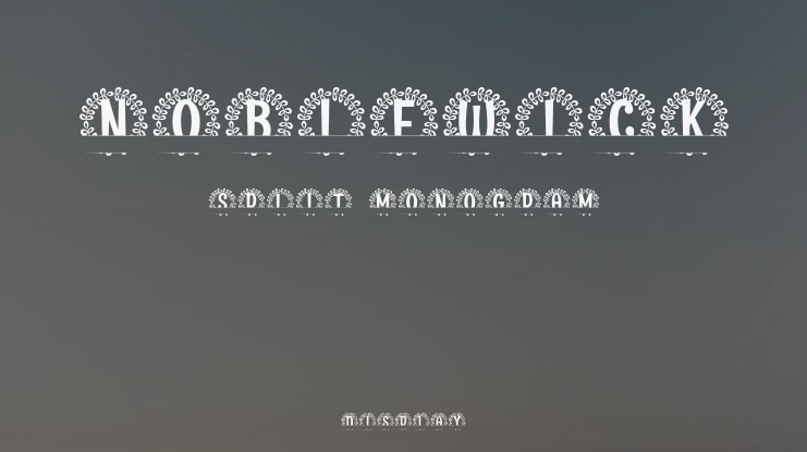 Noblewick Split Monogram Font