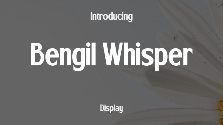 Bengil Whisper Font Family