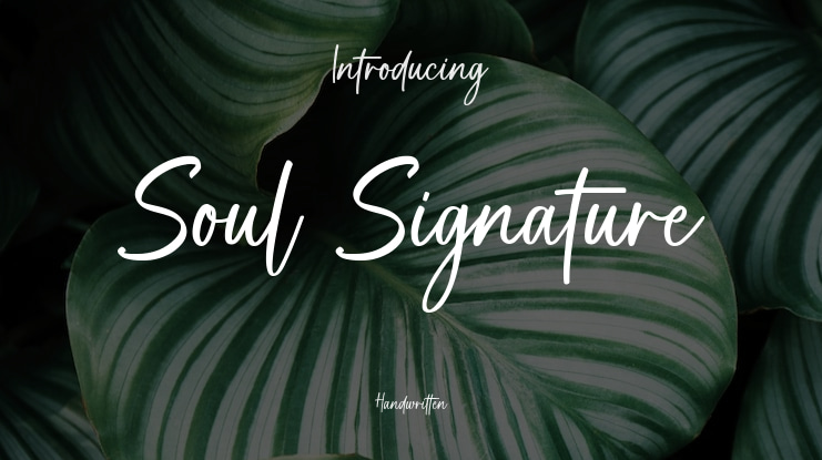 Soul Signature Font