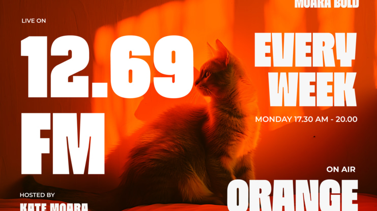 Moara Bold Condensed Font