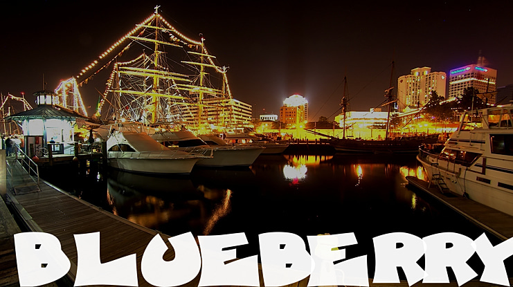 Blueberry Foxhound Font